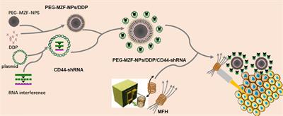 The Therapeutic Effects of DDP/CD44-shRNA Nanoliposomes in AMF on Ovarian Cancer